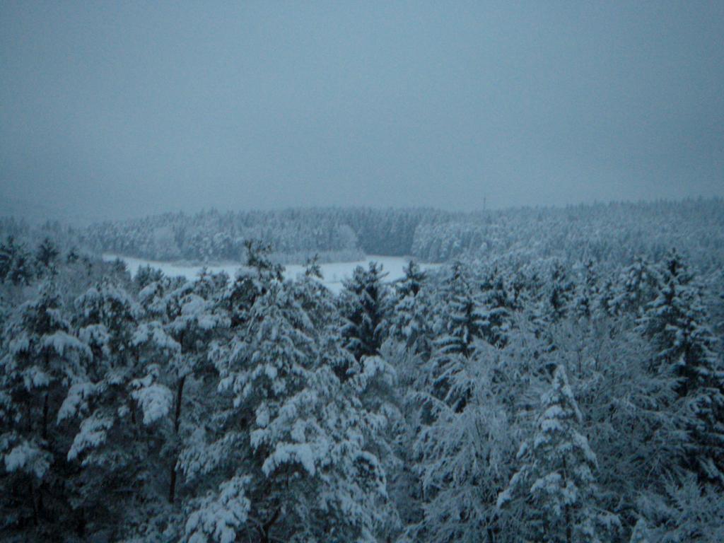 Gasthof Jaegerheim Birgland Esterno foto