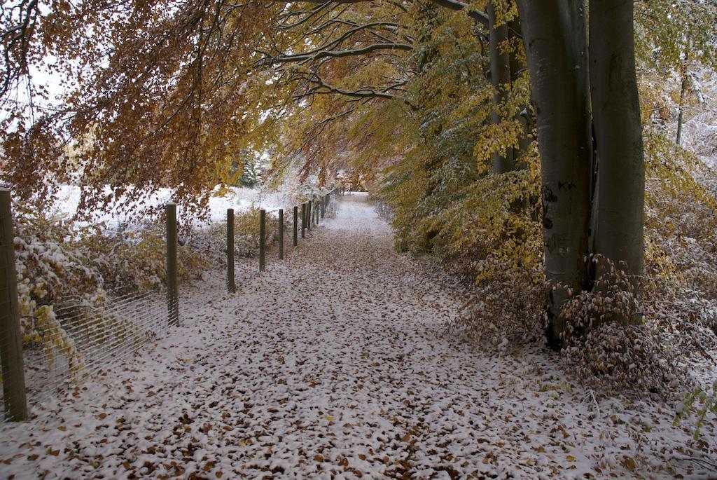 Gasthof Jaegerheim Birgland Esterno foto