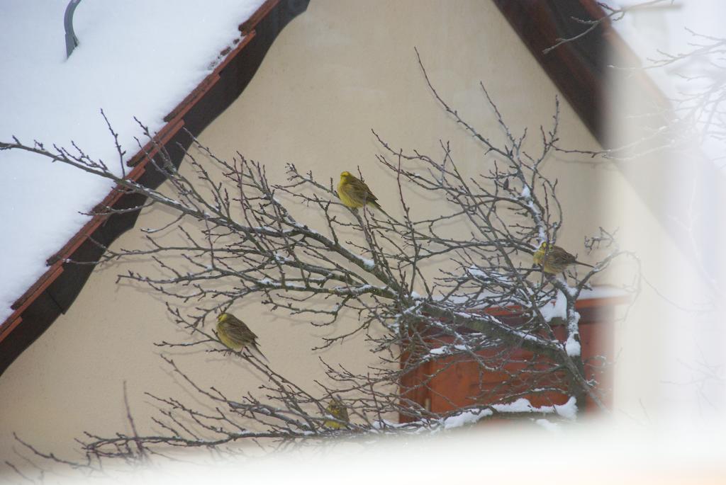 Gasthof Jaegerheim Birgland Esterno foto