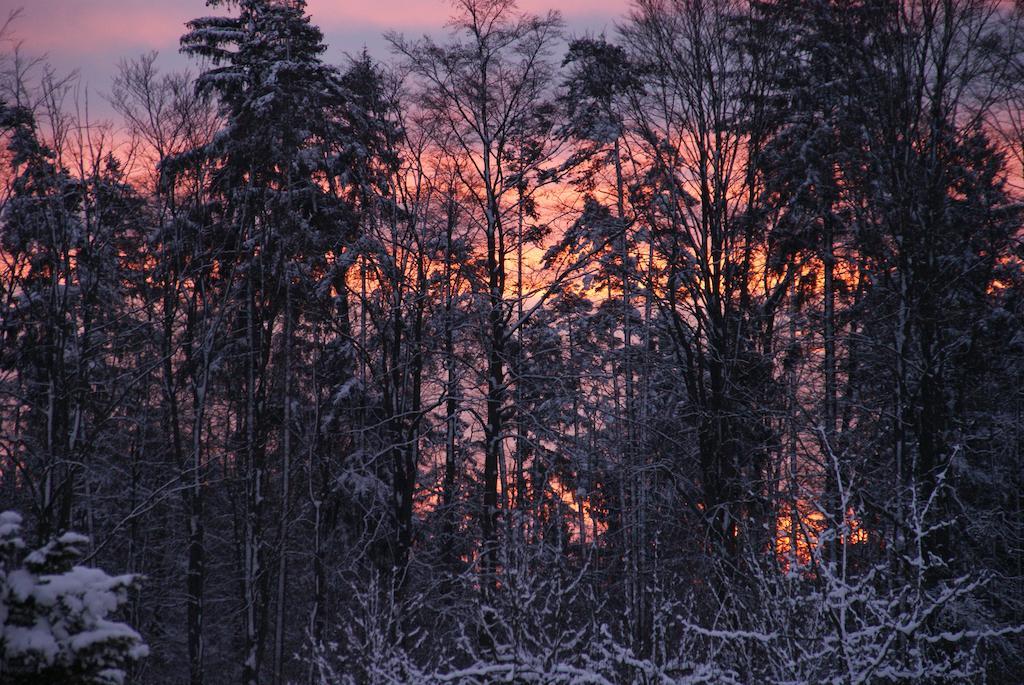 Gasthof Jaegerheim Birgland Esterno foto