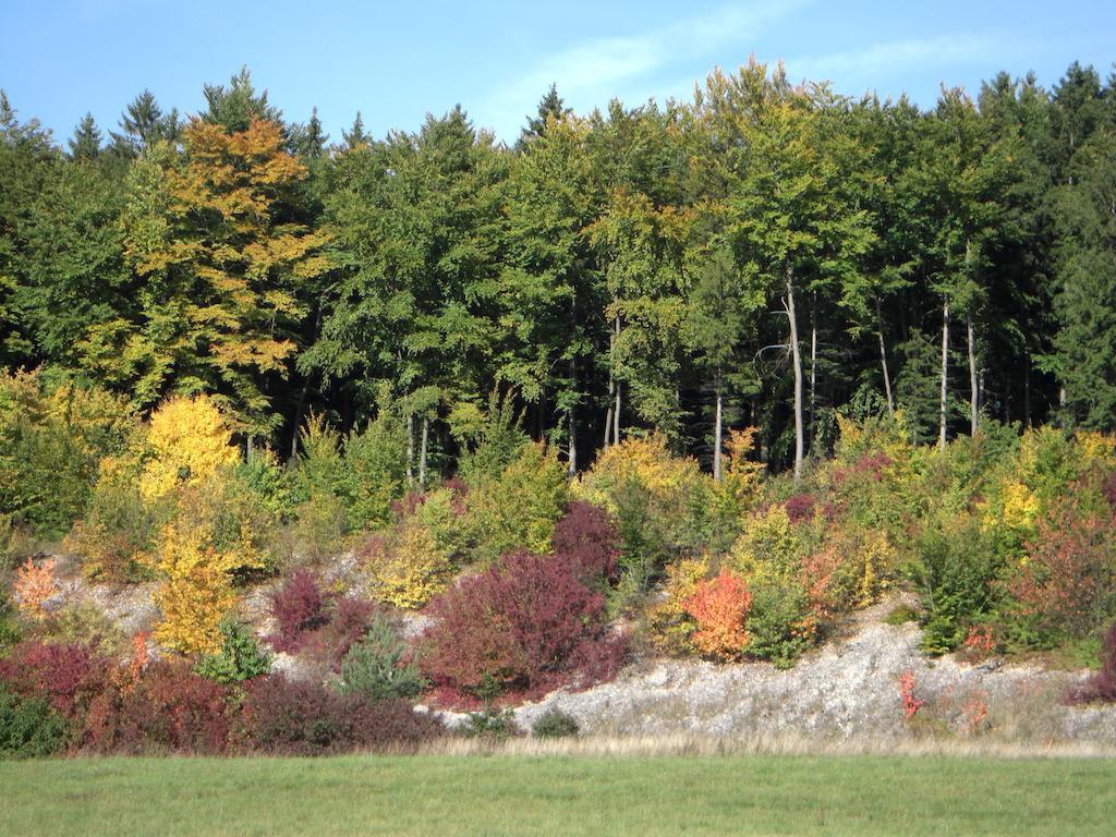 Gasthof Jaegerheim Birgland Esterno foto